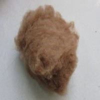 批发纯驼绒原料 精梳驼绒 纺织 可拿样品