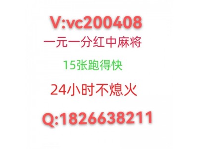 红中麻将 广东麻将 跑的快 一元一分 薇vc200408