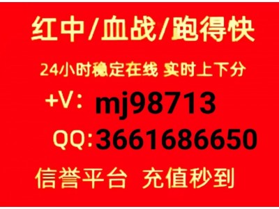 24小时真人1分1---2块红中麻将群上下分红中麻将群