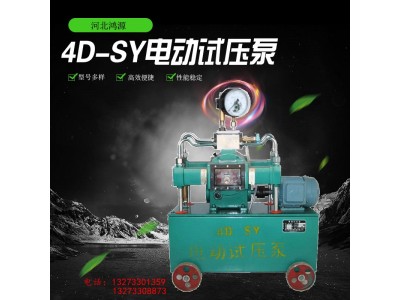 厂家多种规格试压泵 4DSY电动打压泵  压力自控设备