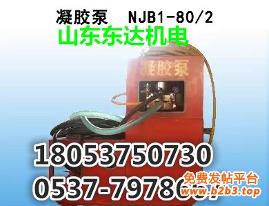 凝胶泵NJB1-802_副本