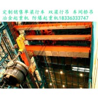 湖北武汉冶金起重机厂家5吨冶金吊定制销售