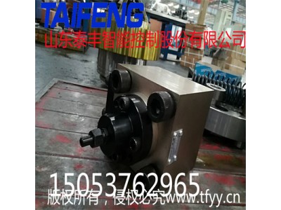 山东泰丰厂家可加工定制充液阀TCF1-250A1