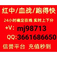 千人在线一元一分红中癞子中码嘛酱跑的快（百度贴吧）