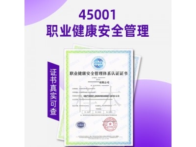 浙江职业健康安全管理体系认证ISO45001认证