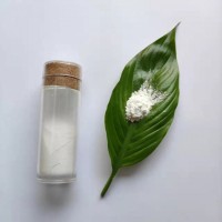 透明塑料薄膜专用 亲油 15nm纳米二氧化钛 CY-T15ST