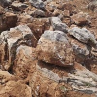 供应填海角石与块石 广西护坡石和石灰石产区介绍
