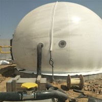 大型独立式双膜气柜 半球形沼气贮气设备