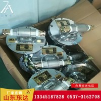 ZPS127型自动洒水降尘装置 抗干扰性好 使用方便