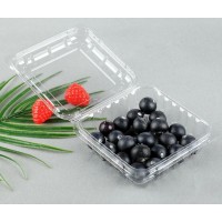 对折泡壳蓝莓吸塑厂上海广舟 食品吸塑托盒