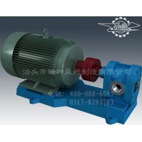 上海不锈钢齿轮泵生产/泊头特种泵阀厂价批发2CY齿轮泵