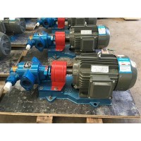 陕西转子泵制造企业/泊禹泵业/厂家订做KCB齿轮泵