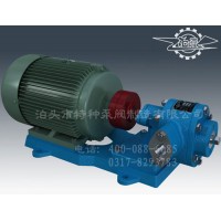 四川不锈钢油泵生产/泊头特种泵厂家直营齿轮油泵
