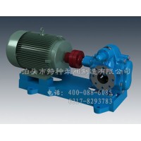 天津齿轮油泵订制加工/泊特泵厂家零售齿轮泵