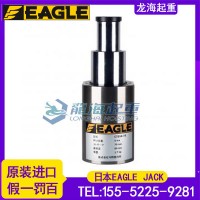 CJ2-30型EAGLE JACK薄型液压千斤顶单作用设计