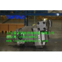 TFA7VO55LRDS/63L斜盘式柱塞泵厂家专业制造