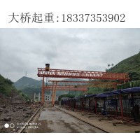 安徽蚌埠100吨龙门吊租赁厂家特征